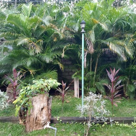 Kithmi Resort Polonnaruwa Bagian luar foto