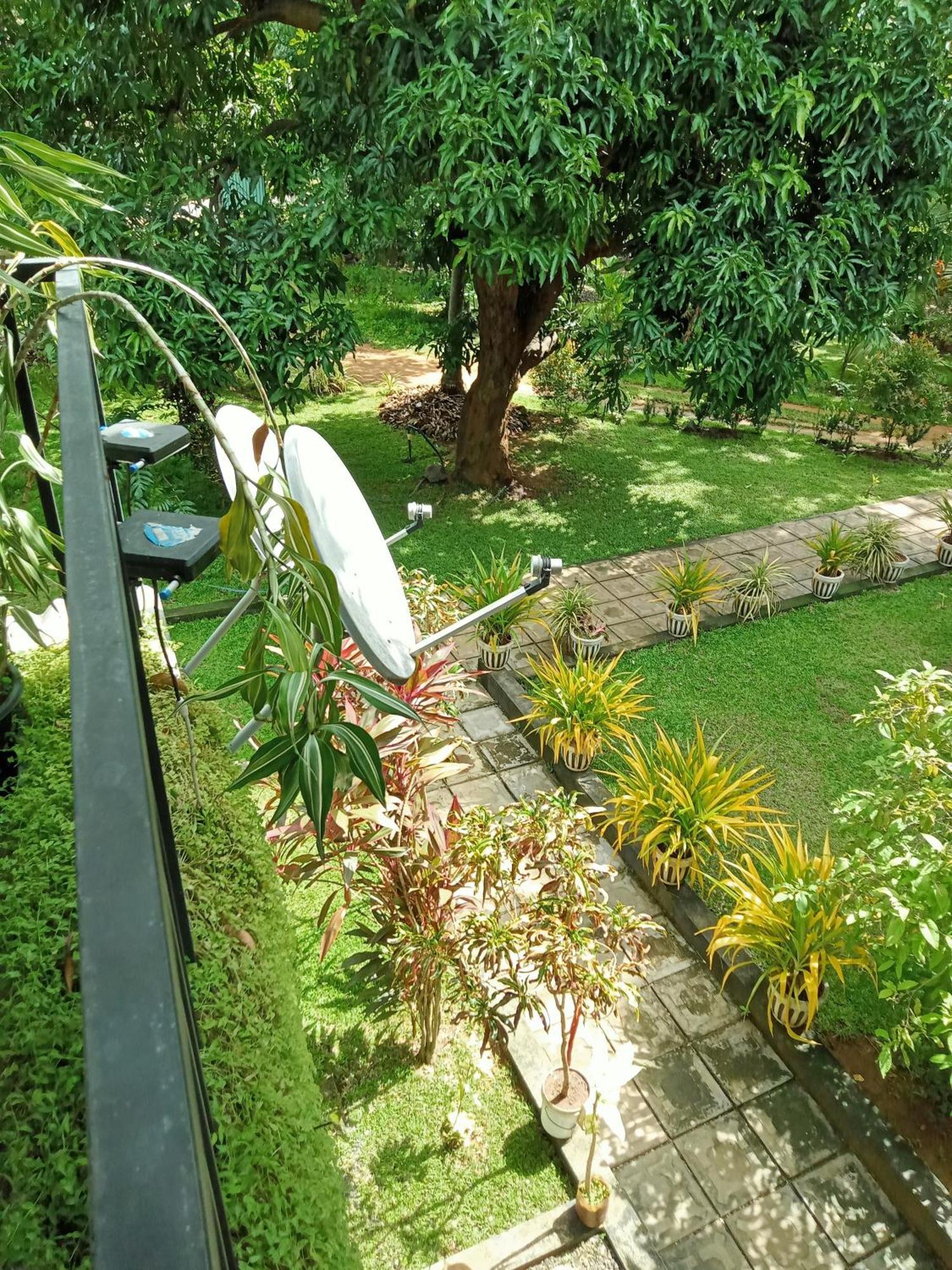 Kithmi Resort Polonnaruwa Bagian luar foto