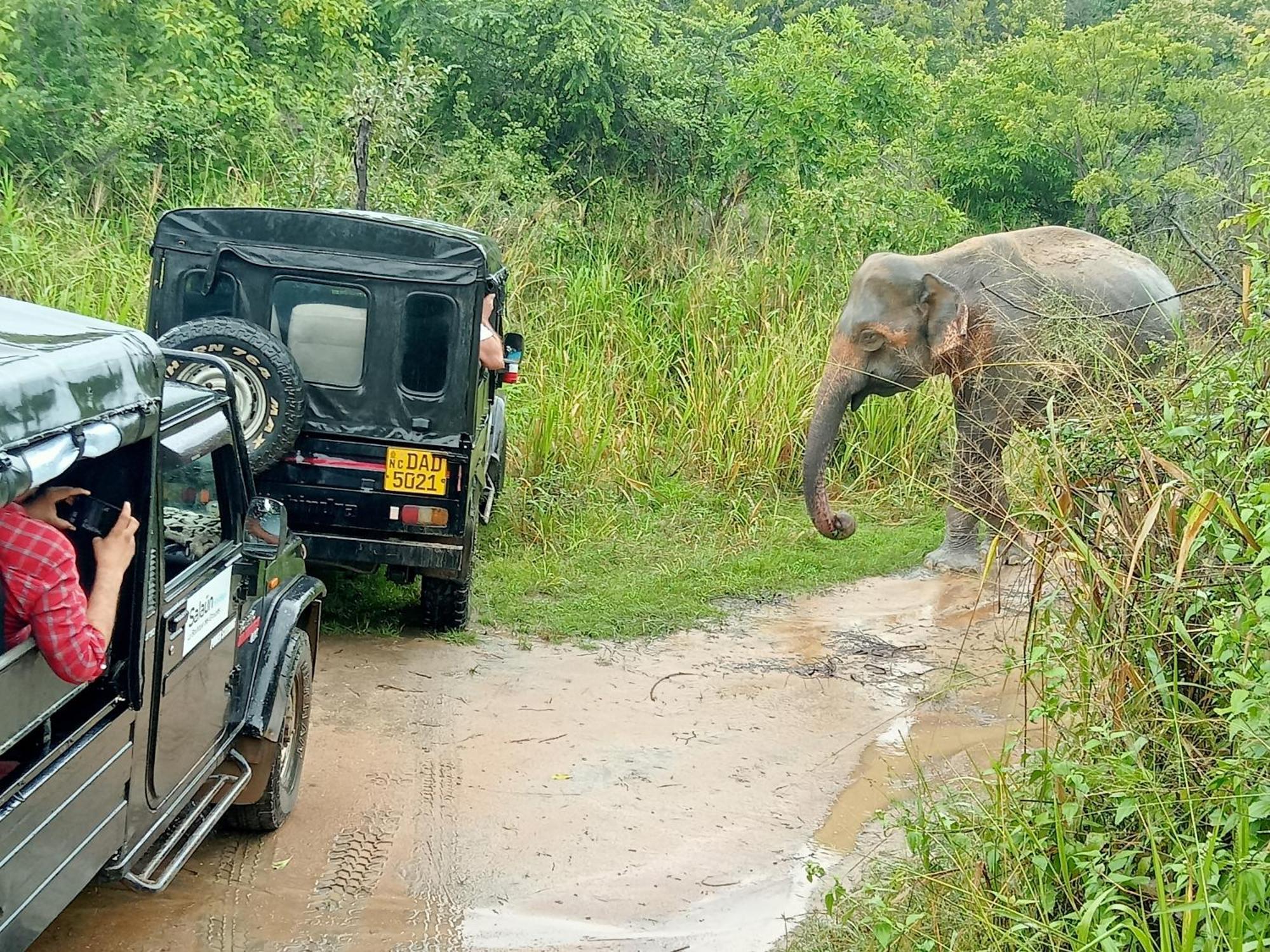 Kithmi Resort Polonnaruwa Bagian luar foto