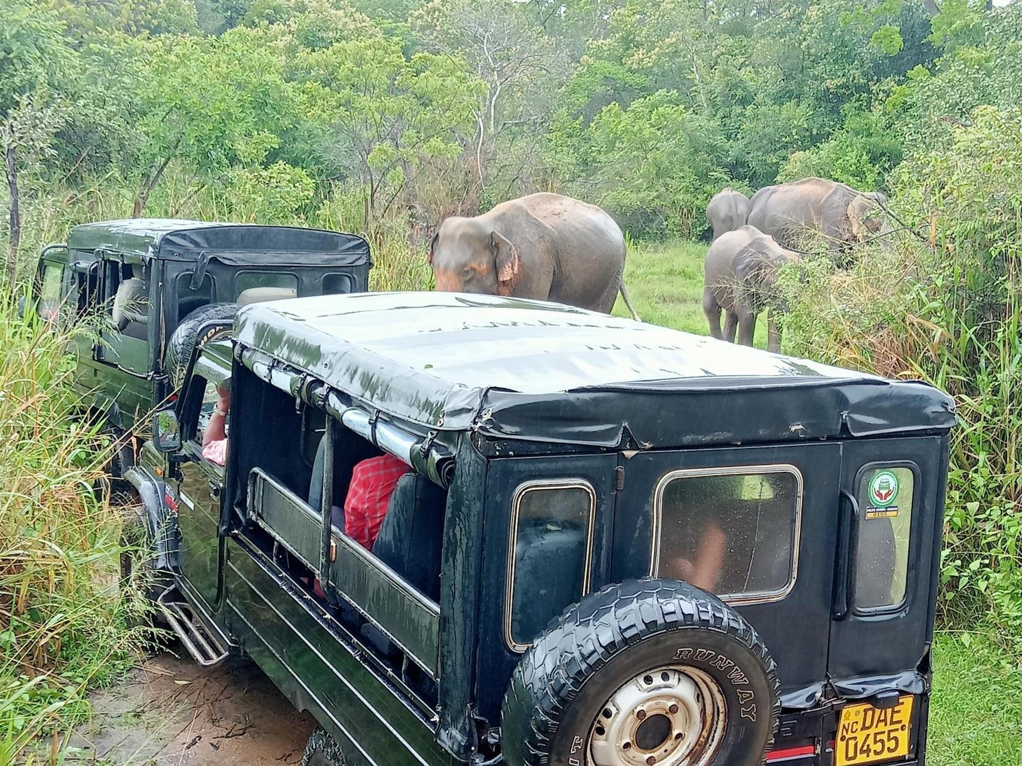 Kithmi Resort Polonnaruwa Bagian luar foto