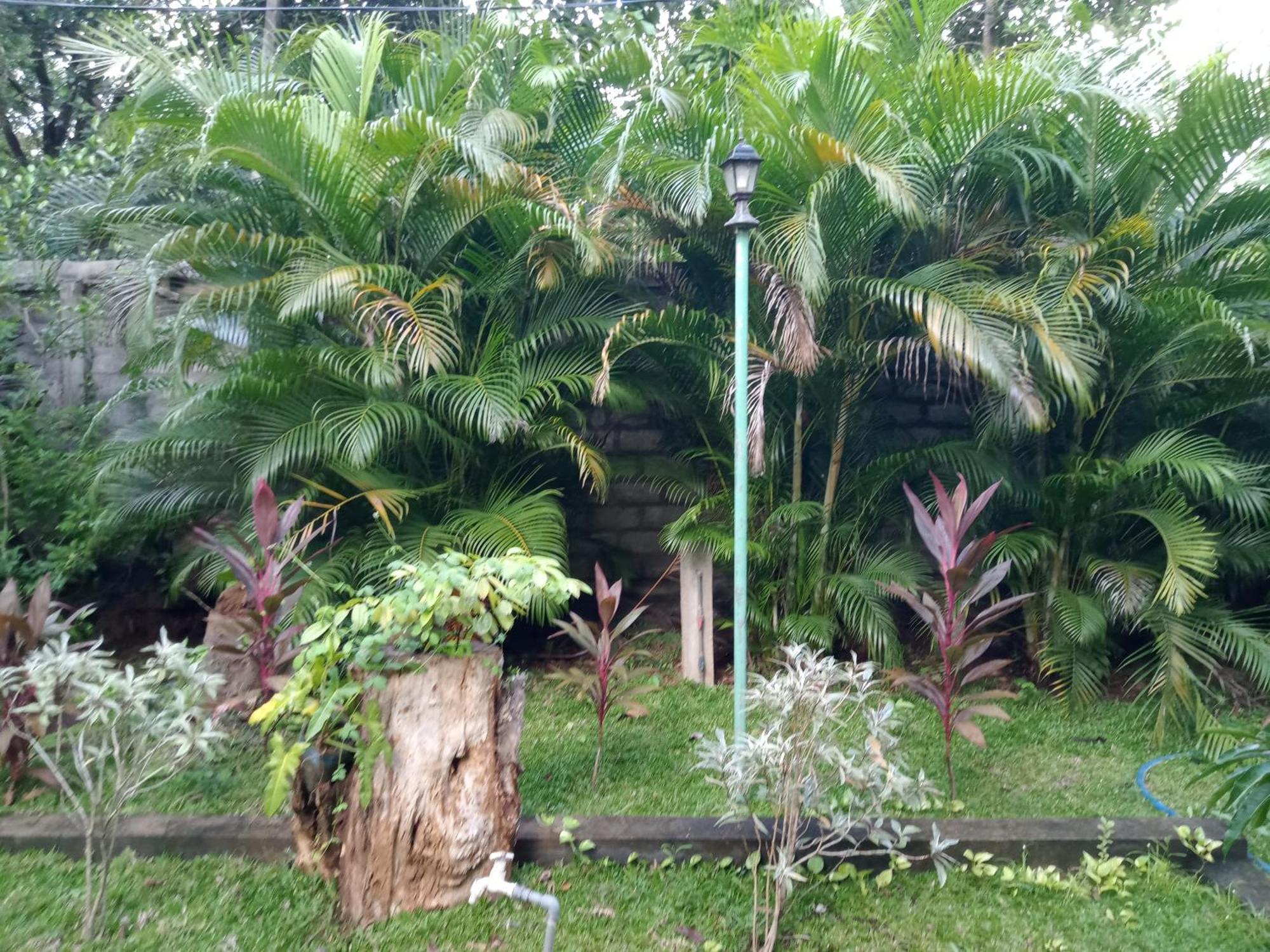 Kithmi Resort Polonnaruwa Bagian luar foto